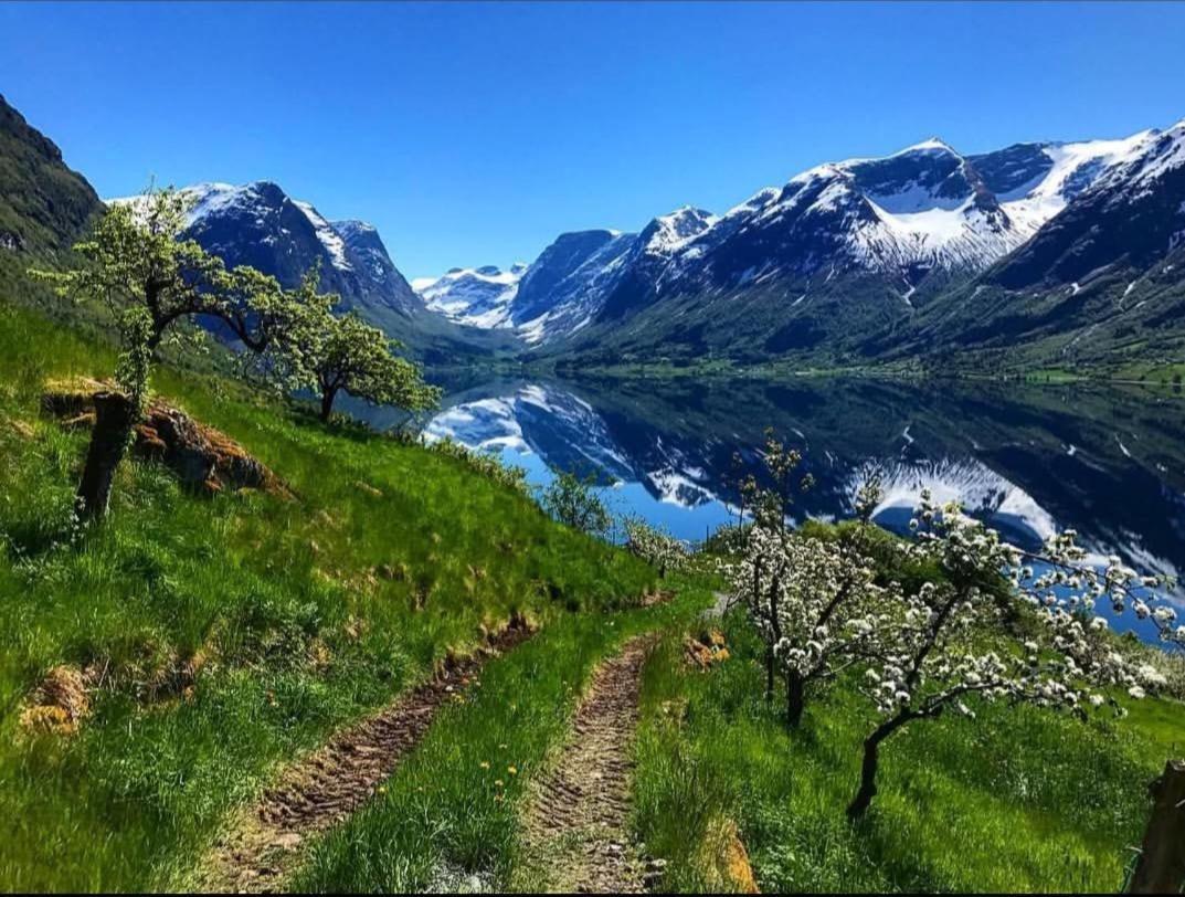 Flotun Leilighet Stryn Eksteriør bilde